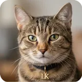 Maskot LK Finance vede k bezpečnému dalšímu kroku v přehledu bydlení.